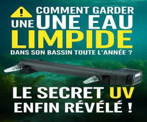 Publicité PubZone